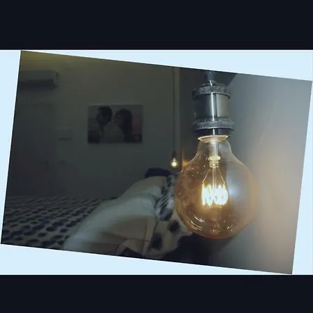 Frühstückspension Casa Nora 4*